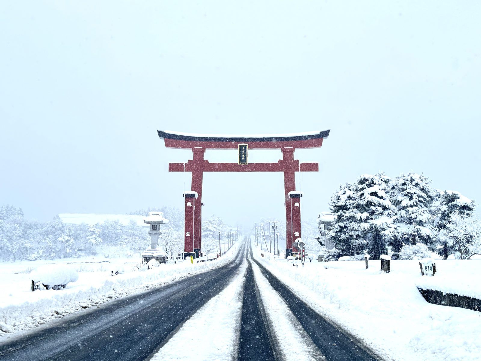 雪化粧した出羽三山神社の大鳥居